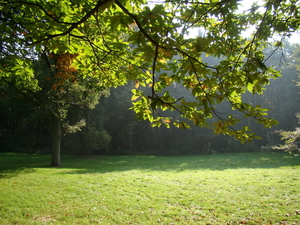 eden