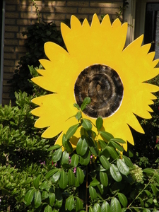 DSCN0405