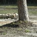 0032 DSCN3561