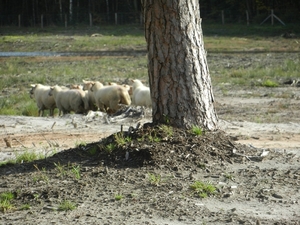 0032 DSCN3561
