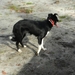 0034 DSCN3566