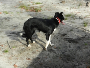 0034 DSCN3566