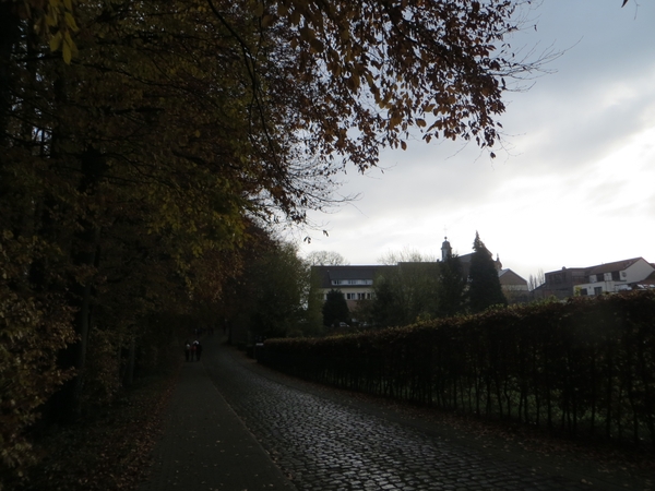 2013-11-24 Hoeilaart 16