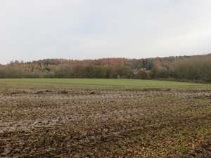 2013-11-24 Hoeilaart 24