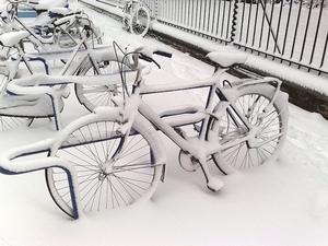 Winter-fietsen in de sneeuw