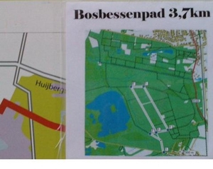 Bosbessenpad