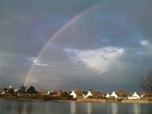 Regenboog