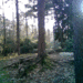 DeUitlegger_Bunkers