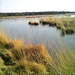 Kalmthoutse Heide