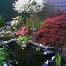 tuin