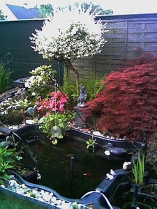 tuin