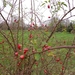 Hier start onze natuurwandeling