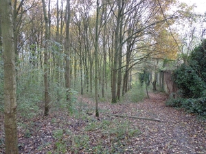 Het Bosselken, een uniek stukje natuur