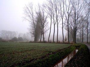 zijwaterke van de Grote Nete