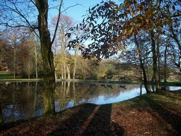 25-Kasteelvijver-Steenhault