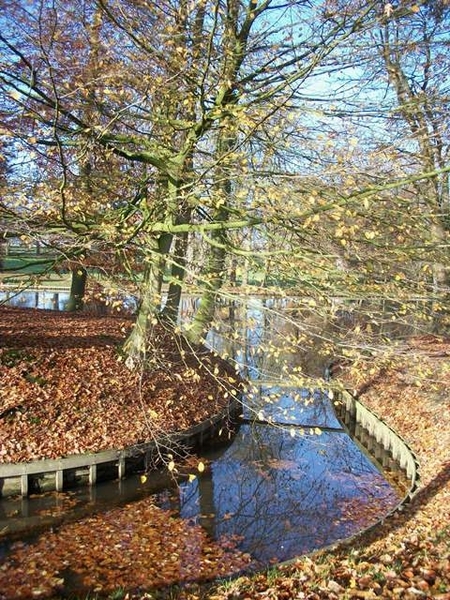 26-Kasteelvijver-Steenhault