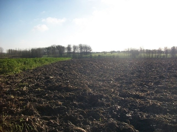 48-Varenberg-Denderwindeke