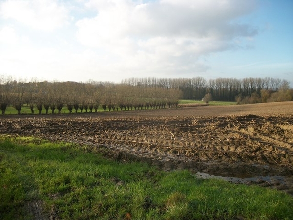 65-Terug langs Zavelberg