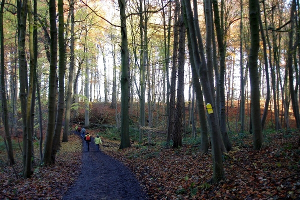 marche vollezele wandeling