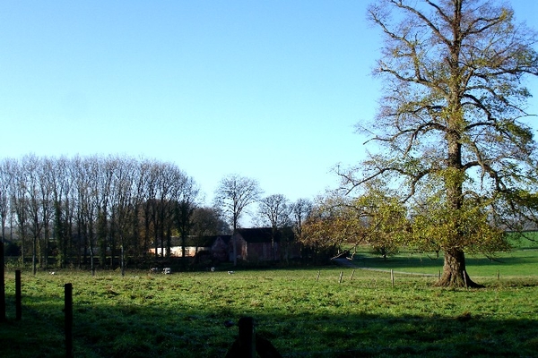 marche vollezele wandeling