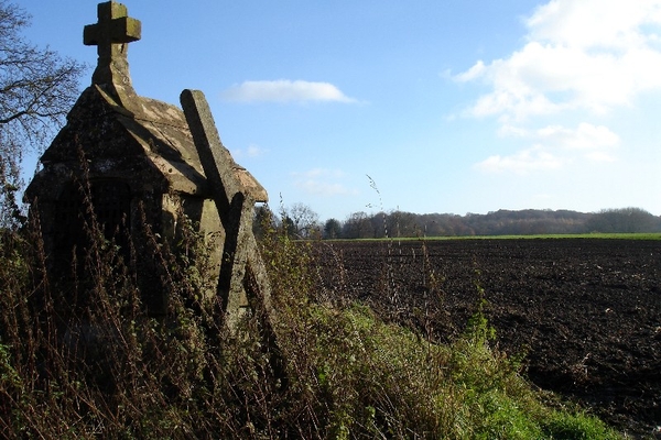 marche vollezele wandeling