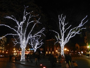 20131202.Brussel.Kerstmarkt 116 (Medium)