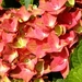 PICT0138