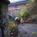 Wandeling naar Mechelse Kruidtuin - 28 november 2013
