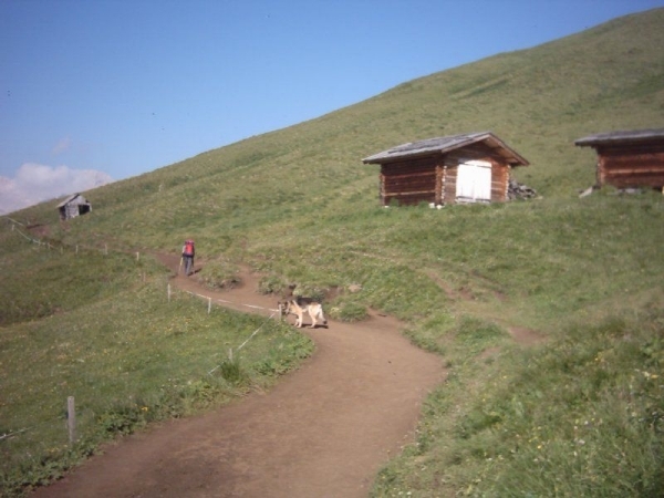 20040721Roseng 006 SellaJoch-FriedrAugustWeg-TierserAlplH