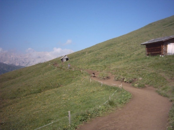 20040721Roseng 009 SellaJoch-FriedrAugustWeg-TierserAlplH