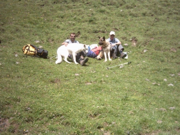 20040721Roseng 017 SellaJoch-FriedrAugustWeg-TierserAlplH