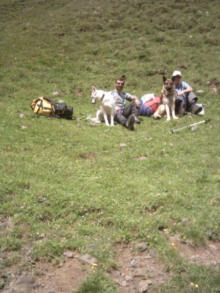 20040721Roseng 018 SellaJoch-FriedrAugustWeg-TierserAlplH