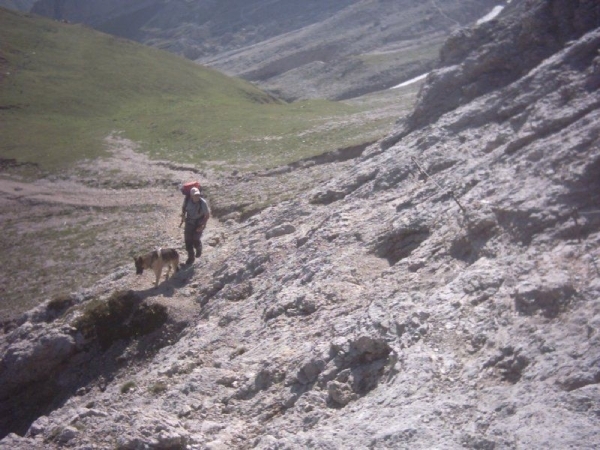 20040722Roseng 030 over Molignonpass