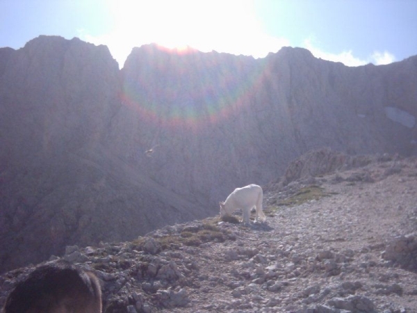 20040722Roseng 034 over Molignonpass