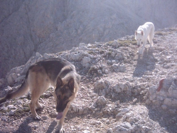 20040722Roseng 035 over Molignonpass