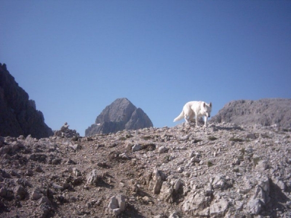 20040722Roseng 039 over Molignonpass