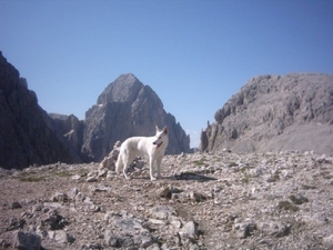 20040722Roseng 044 over Molignonpass