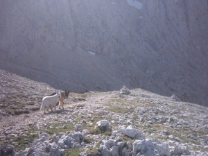 20040722Roseng 045 over Molignonpass