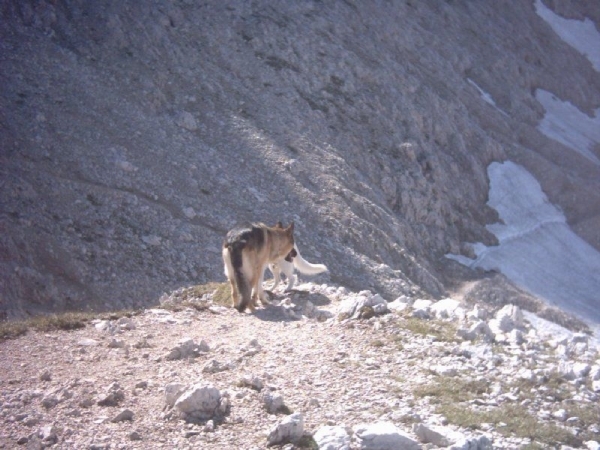 20040722Roseng 047 over Molignonpass