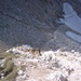 20040722Roseng 051 over Molignonpass