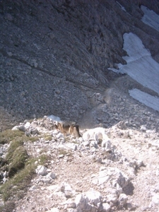 20040722Roseng 051 over Molignonpass