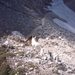 20040722Roseng 052 over Molignonpass