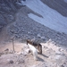 20040722Roseng 056 over Molignonpass