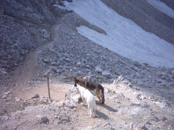 20040722Roseng 056 over Molignonpass