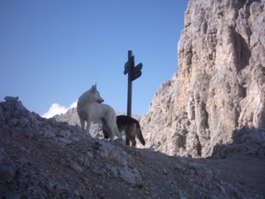 20040722Roseng 064 over Molignonpass