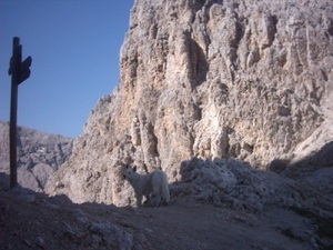 20040722Roseng 065 over Molignonpass