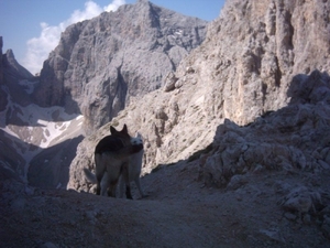 20040722Roseng 067 over Molignonpass