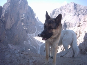 20040722Roseng 068 over Molignonpass