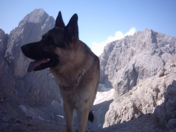 20040722Roseng 069 over Molignonpass