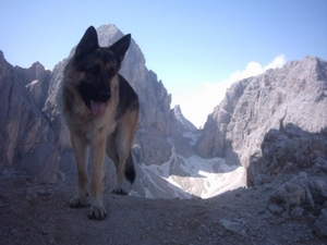 20040722Roseng 070 over Molignonpass